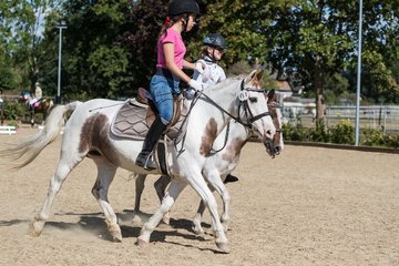 Bild 38 - Pony Akademie Turnier
